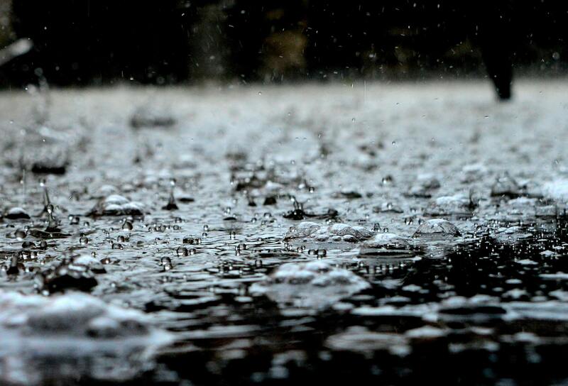 梅雨のゴキブリ対策8選！この季節に最強の予防策とは？大量発生時の駆除方法も解説