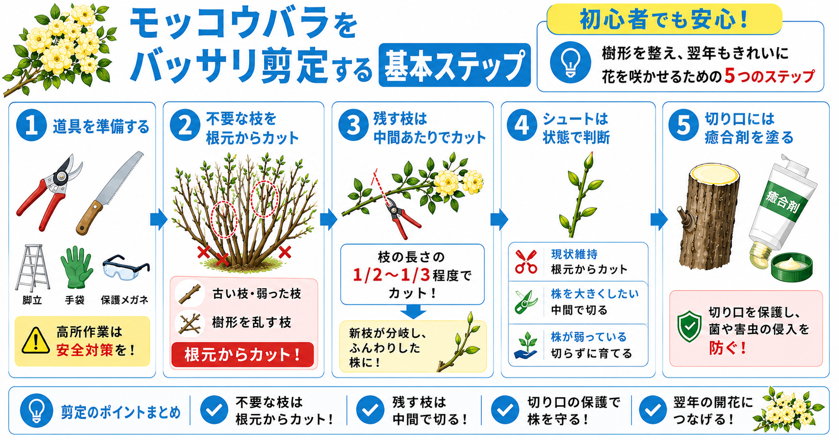 モッコウバラをバッサリ剪定する基本ステップ【初心者でも安心】