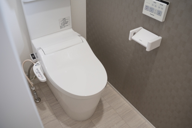 清掃前のトイレ全体の様子