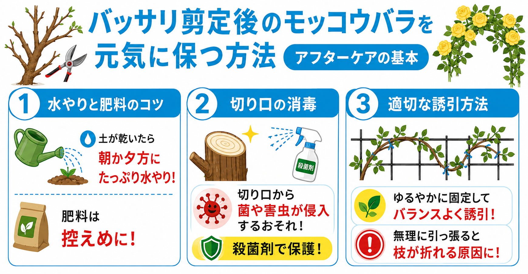 バッサリ剪定後のモッコウバラを元気に保つ方法【アフターケアの基本】