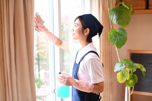 カーテン越しに窓を拭く女性と室内の観葉植物