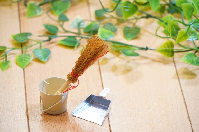 葉植物と清掃スプレーが置かれた室内のテーブル