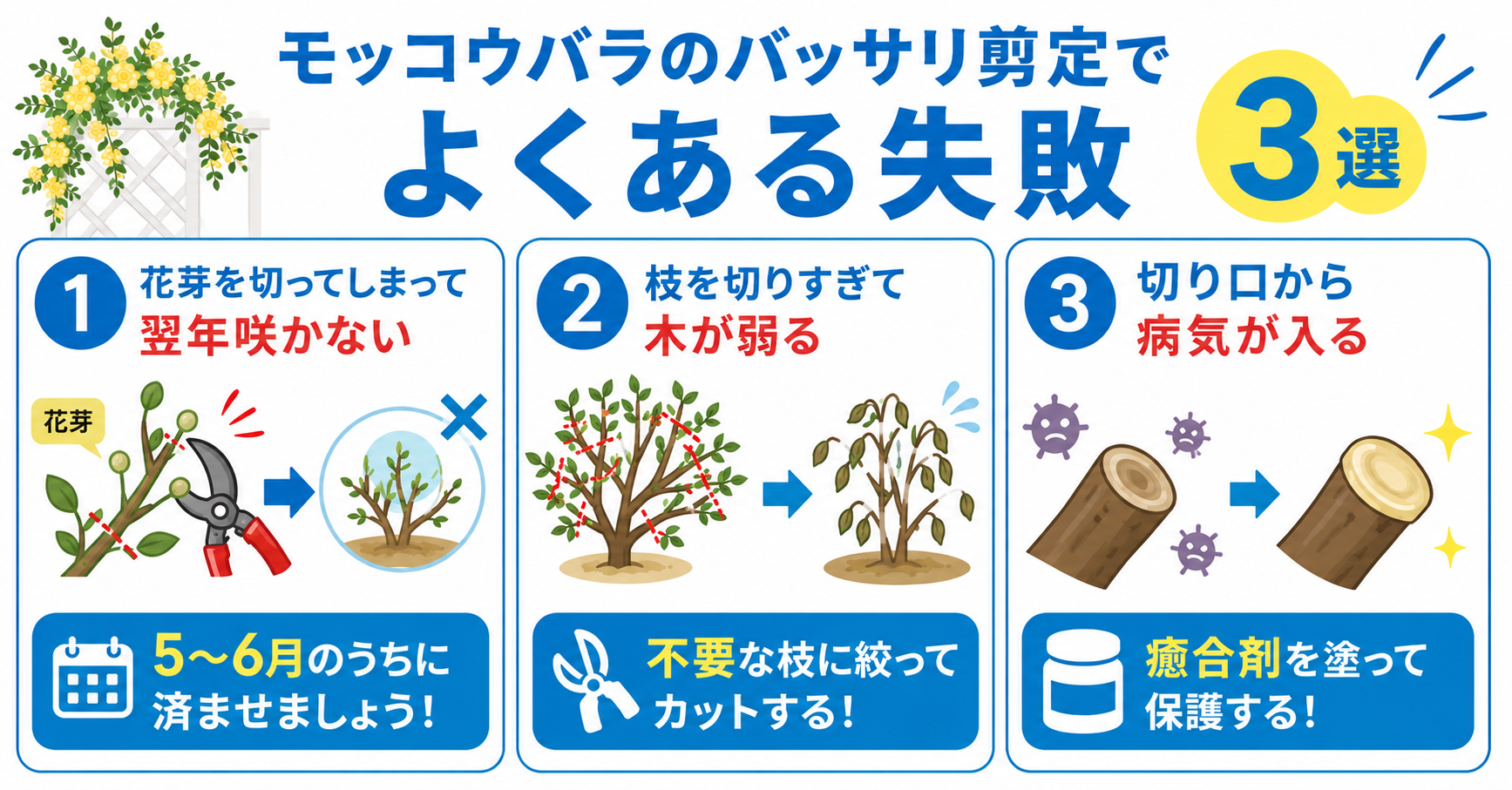 モッコウバラのバッサリ剪定でよくある失敗3選【やりがちな注意点】