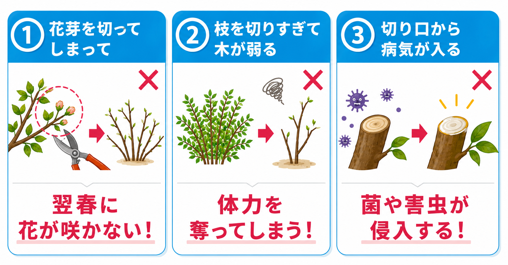 モッコウバラのバッサリ剪定でよくある失敗