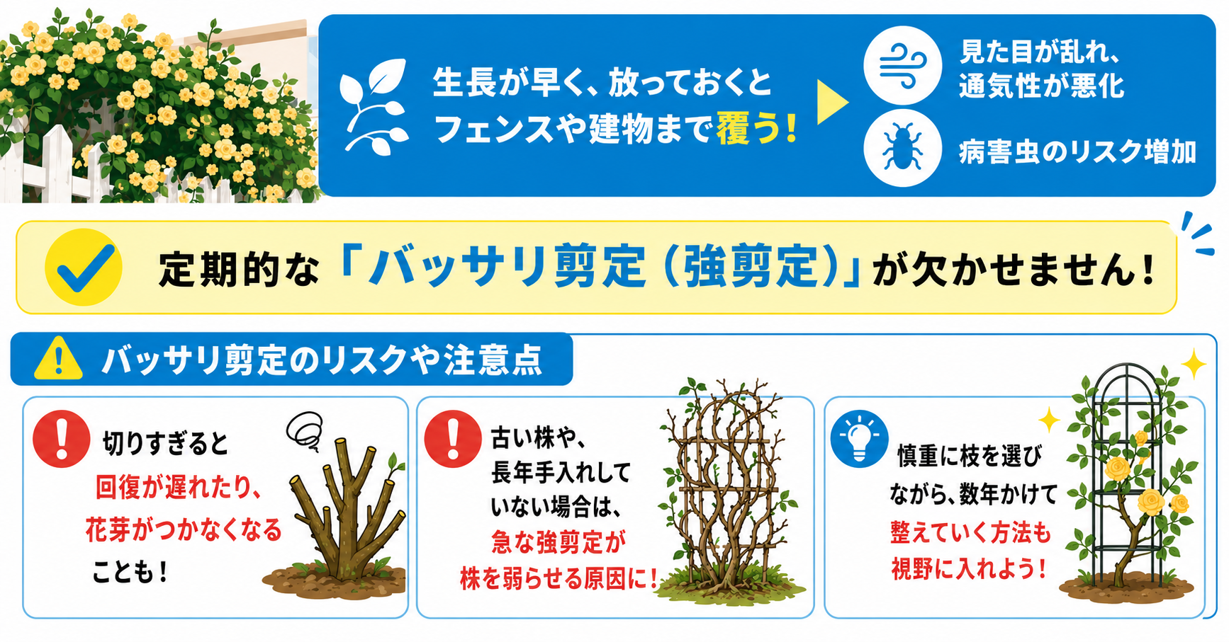 モッコウバラをバッサリ剪定する際の注意点