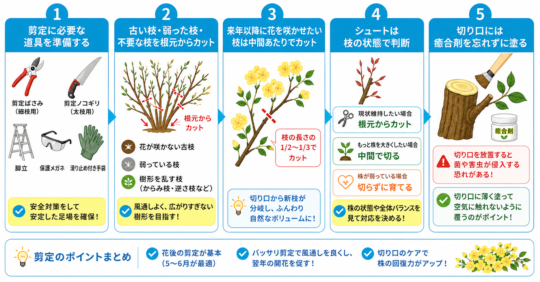 モッコウバラをバッサリ剪定する方法