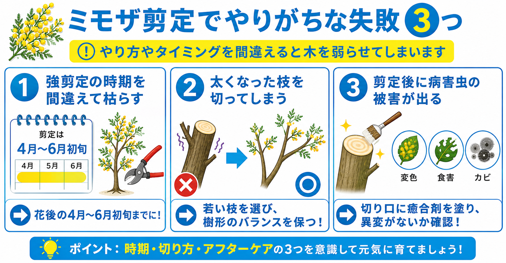 ミモザ剪定でやりがちな失敗