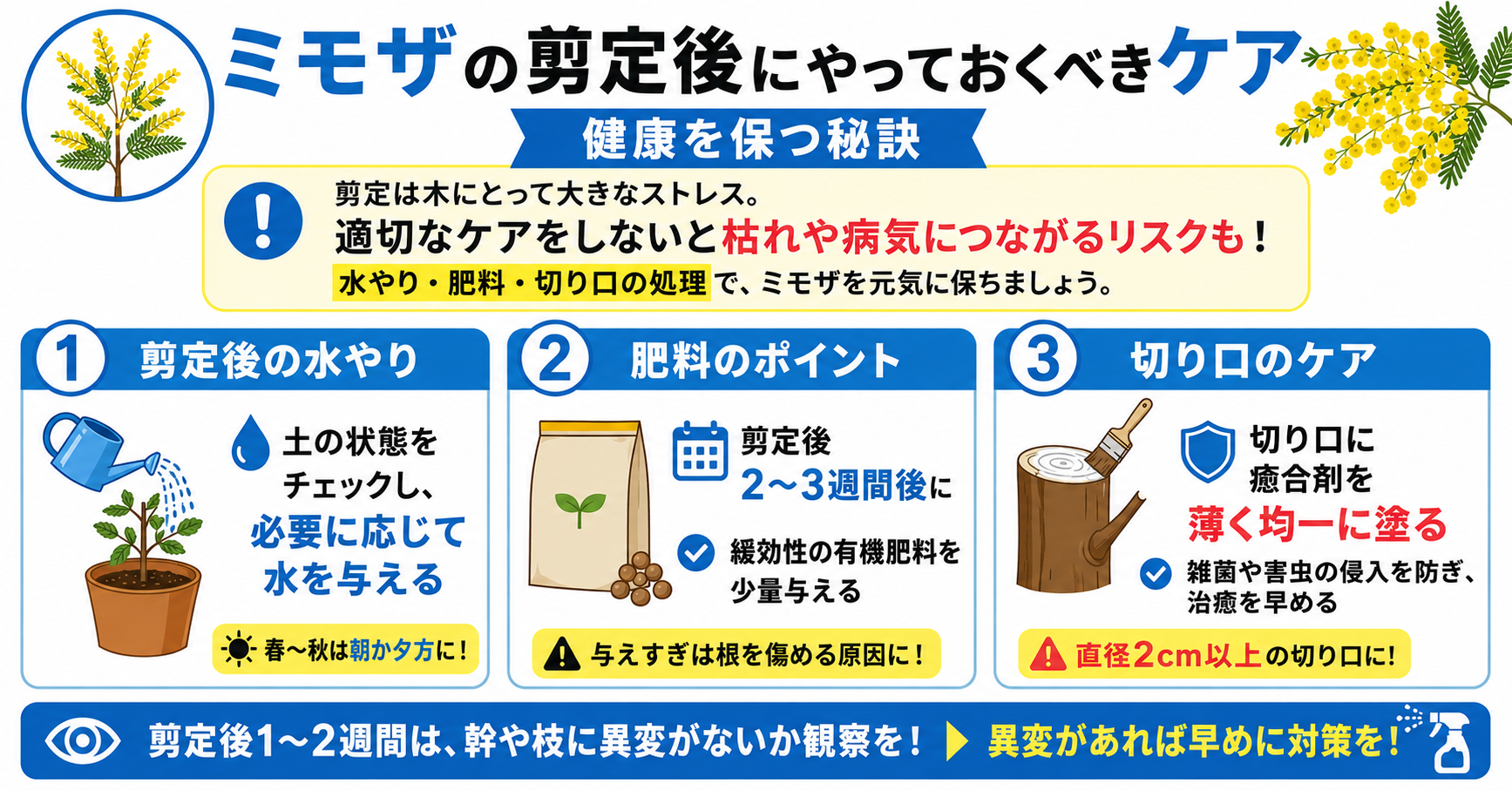ミモザの剪定後にやっておくべきケア