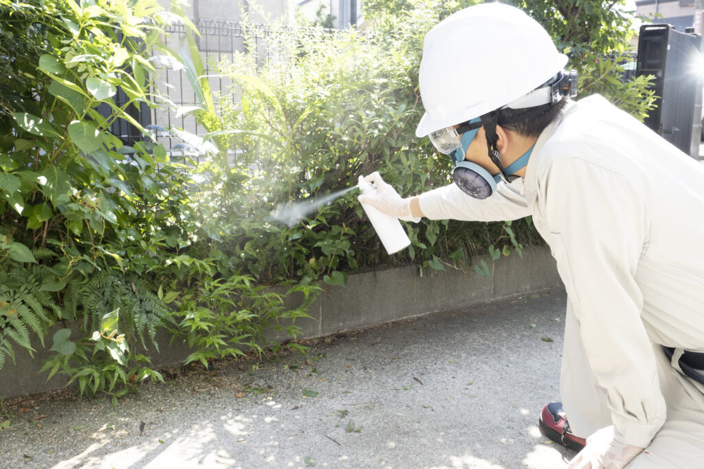 大量発生しているマイマイガに殺虫剤をかけている画像
