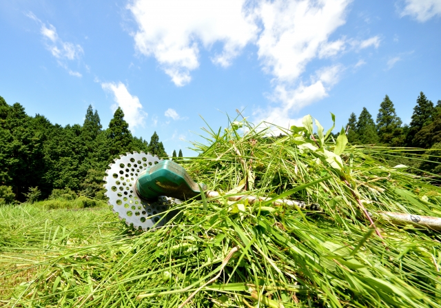 いくらかかるのか調べている200坪の草刈り