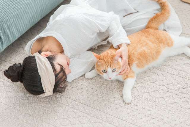 引越し先に猫が慣れるまでの期間を調べる女性