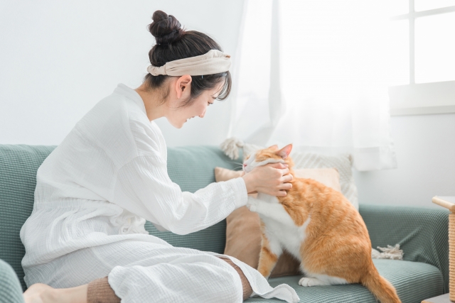 引越し先に猫が慣れるまでの期間が心配な女性