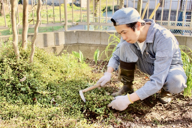 作業員がしゃがんで雑草を手で抜いている様子
