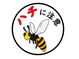 スズメバチが家の中に入ってきた