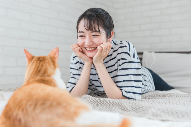 引越し先に猫が慣れるまでの期間が心配な女性