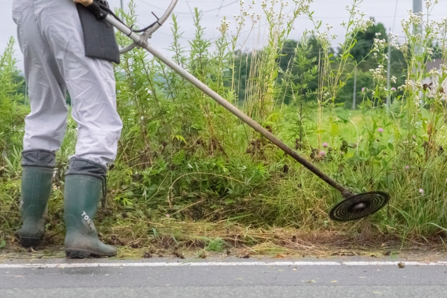 いくらか分かり、200坪の草刈りを依頼し作業を見ているところ
