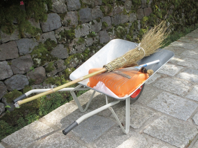 伐採された枝を束ねて処理している作業後の状態