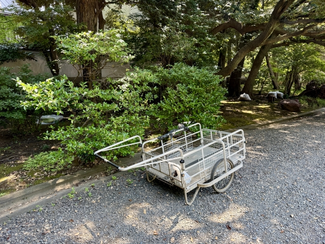 一輪車に載せられた剪定後の庭木や枝