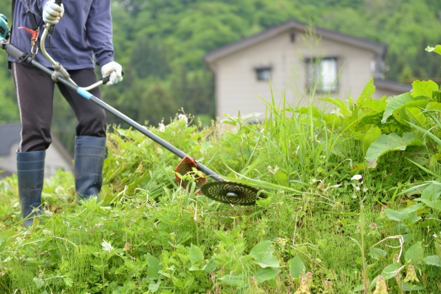 200坪の草刈りはいくらかかる？費用相場と安く抑えるコツを完全解説！