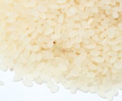部屋の中に潜んでいるノシメマダラメイガの幼虫が動いている様子