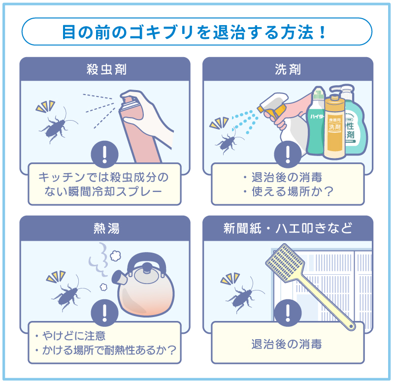 ゴキブリをは維持する方法