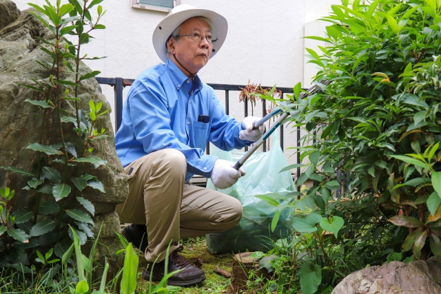 木の伐採作業を依頼しているシルバー人材センターの男性