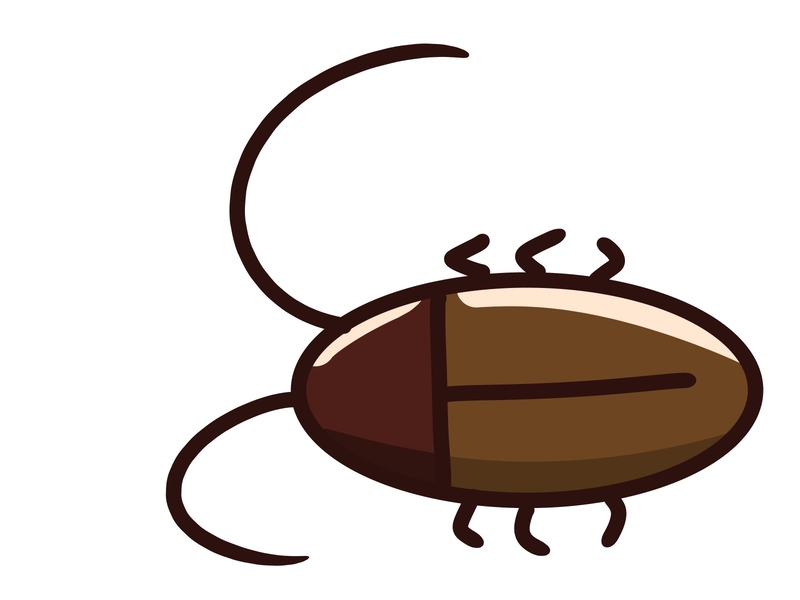 冷蔵庫にゴキブリがいるパターン