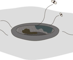 コバエ駆除業者