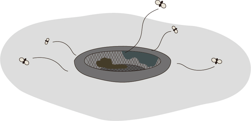 コバエ駆除業者おすすめ4選！業者の選び方・費用相場・安く抑えるポイントも