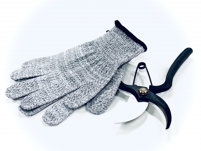 料金を調べているカインズの剪定作業で使う道具