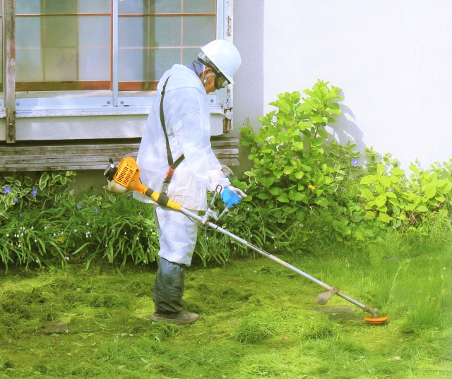 料金を支払って依頼したベンリーでの草刈り