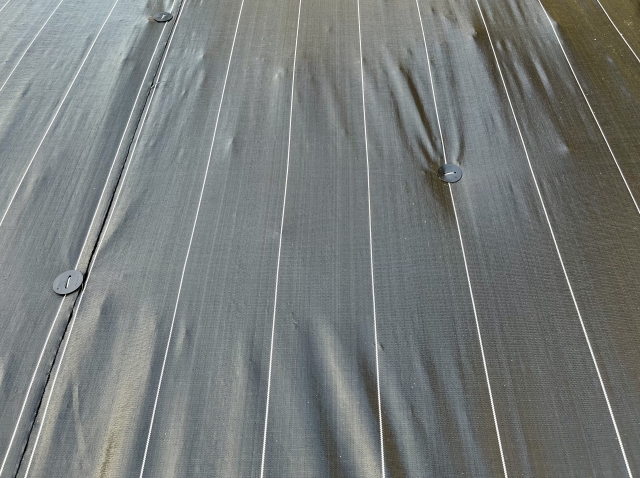 空き家の雑草対策で敷かれた防草シート