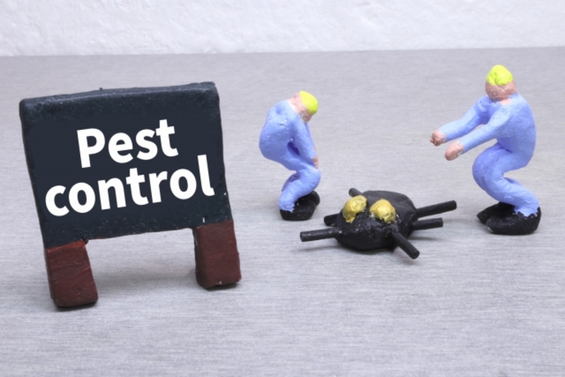 害虫駆除の補助金・助成金を確認