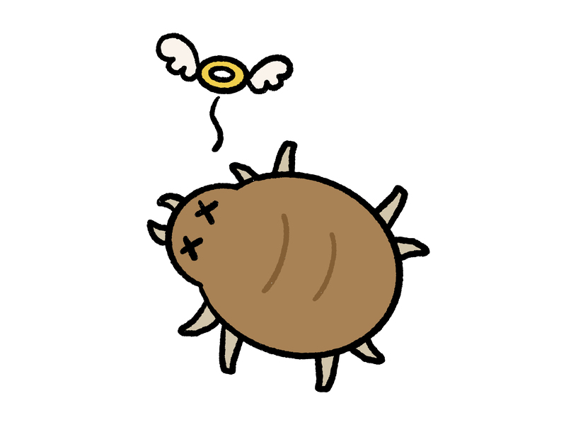 マダニ駆除業者を探すところ