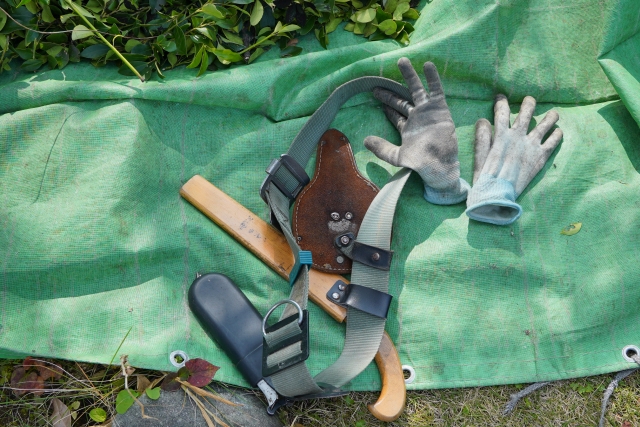 庭木の剪定の作業用品