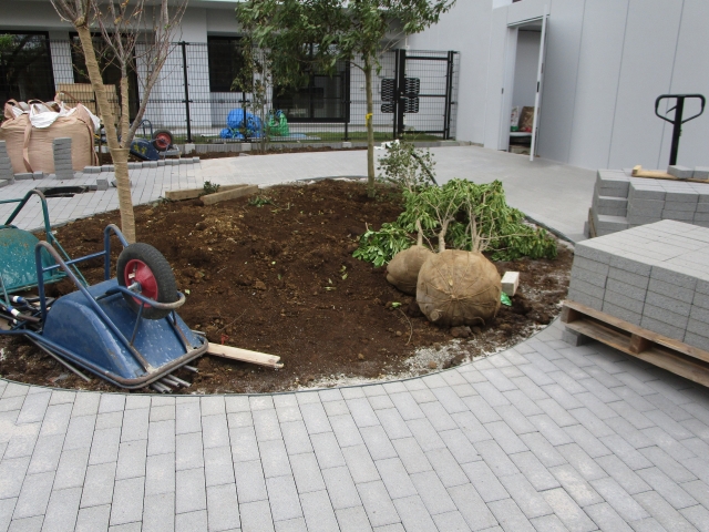 芝剥がしと土ならし作業中の庭