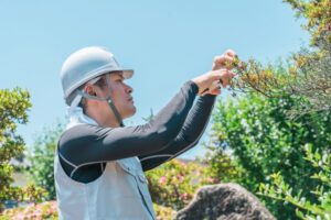 樹木の状態を確認する作業員