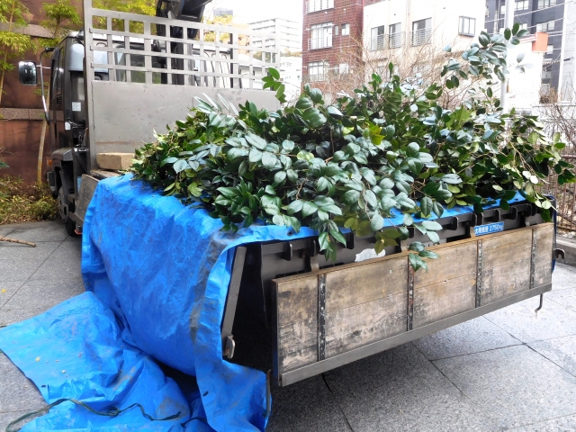 草木を積んだプランターを運搬する様子