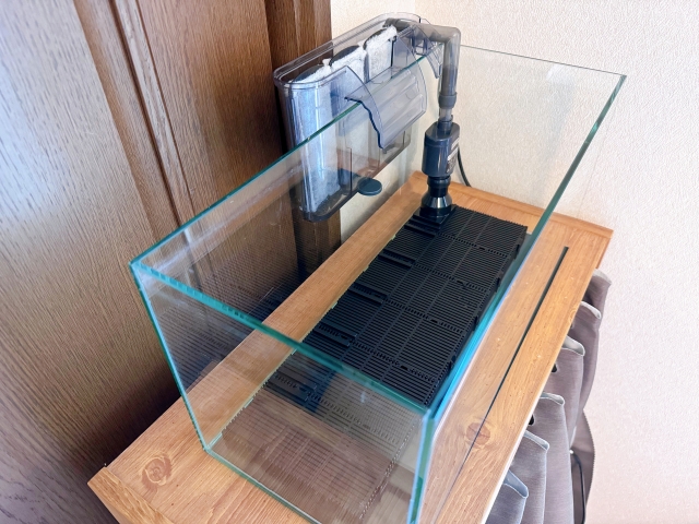 引っ越し業者に運搬を任せる水槽