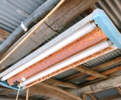 蛍光灯が生産終了?補助金を活用してお得にLED化する方法を徹底解説(アイキャッチ)