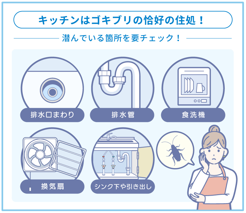 台所はゴキブリの住処!キッチンの潜んでいる場所