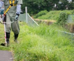 料金を調べているベンリーでの草刈り