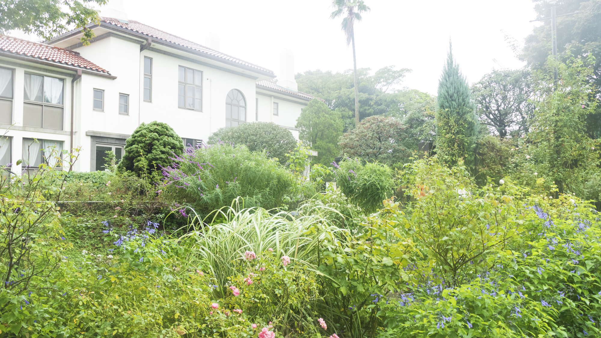 庭のブヨ（ブユ）駆除方法は？発生原因や刺されたときの対処法を解説