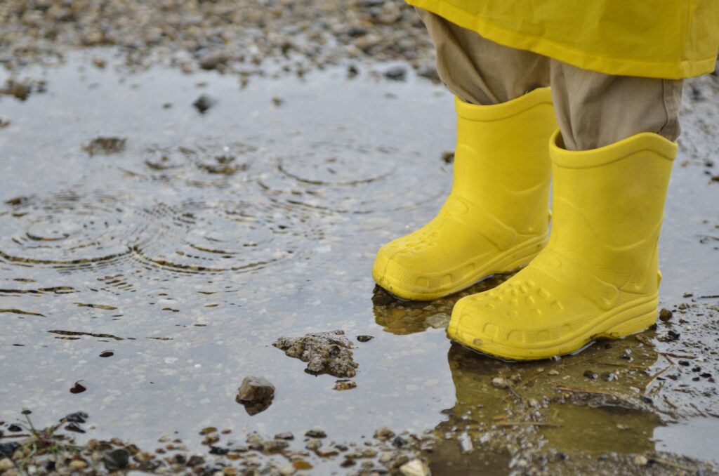 ブヨが発生する庭にある水たまり