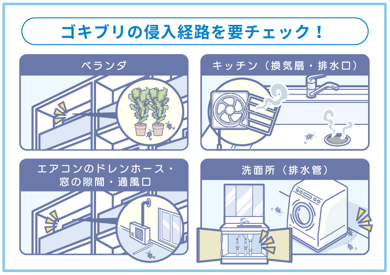 ゴキブリの侵入経路