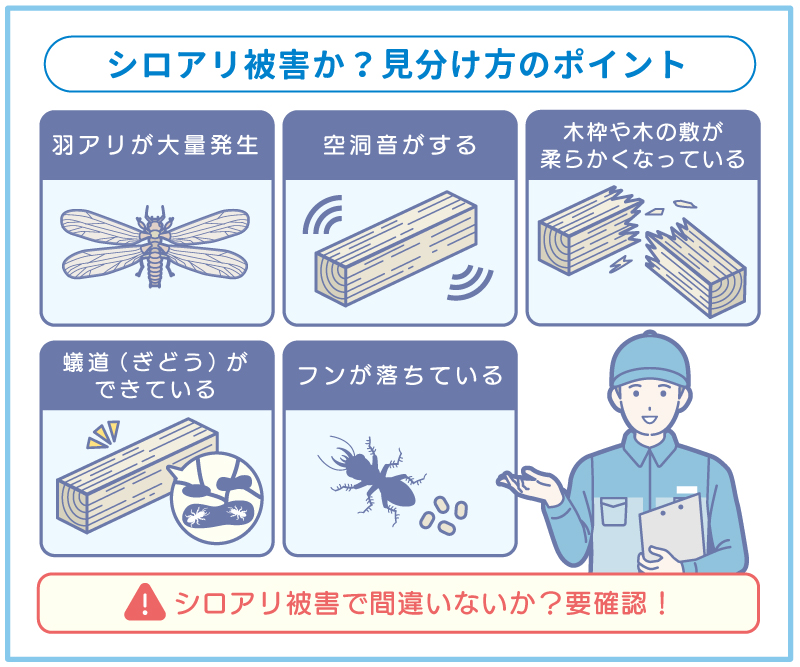 シロアリ被害かどうかの見分け方！5つのポイント