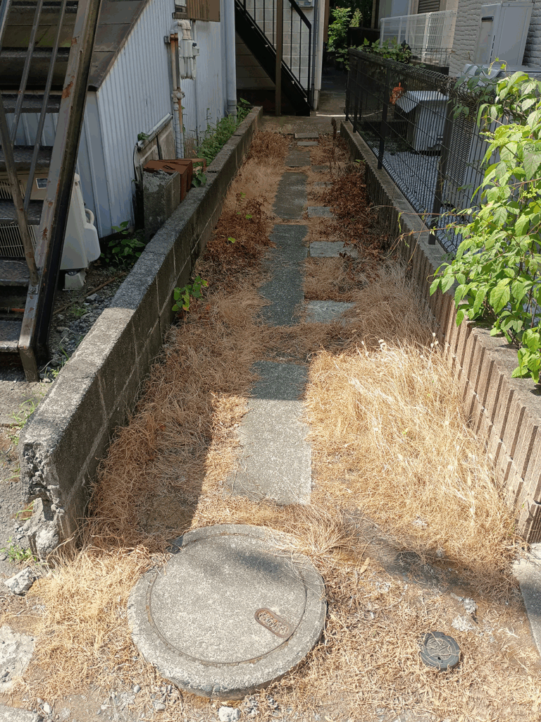 BEFORE