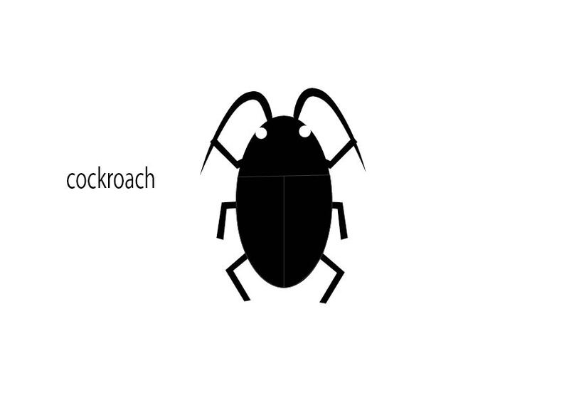 玉ねぎでゴキブリ対策できるか調整中