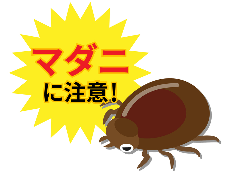 家の中にマダニ？どこにいる？潜伏場所と対応・駆除のポイントを解説！