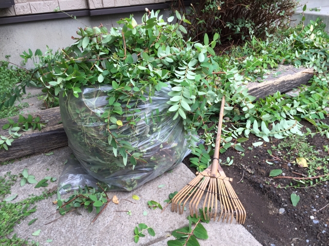 大きめの袋に集められた雑草や枝葉